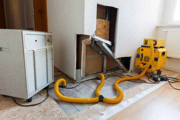 Mold Remediation for Rental Properties in Woodmere, NY